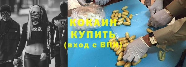 ГАЛЛЮЦИНОГЕННЫЕ ГРИБЫ Горно-Алтайск