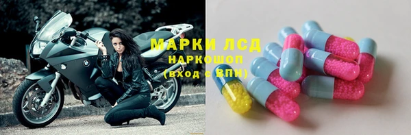 гидра Горнозаводск