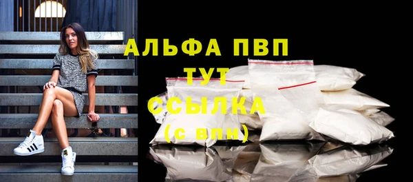 гидра Горнозаводск