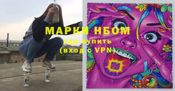гидра Горнозаводск