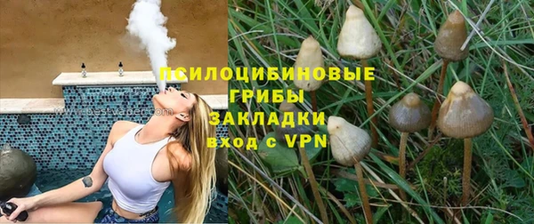 ГАЛЛЮЦИНОГЕННЫЕ ГРИБЫ Горно-Алтайск