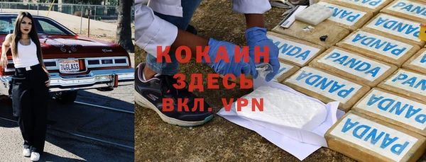 ГАЛЛЮЦИНОГЕННЫЕ ГРИБЫ Горно-Алтайск