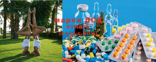 гидра Горнозаводск