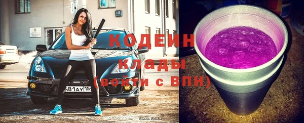 гидра Горнозаводск