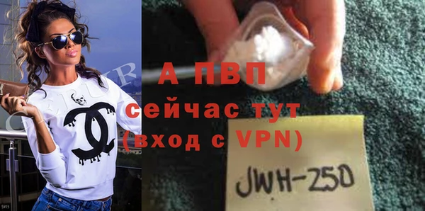 ГАЛЛЮЦИНОГЕННЫЕ ГРИБЫ Горно-Алтайск
