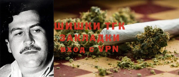 ГАЛЛЮЦИНОГЕННЫЕ ГРИБЫ Горно-Алтайск