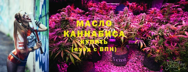 ГАЛЛЮЦИНОГЕННЫЕ ГРИБЫ Горно-Алтайск