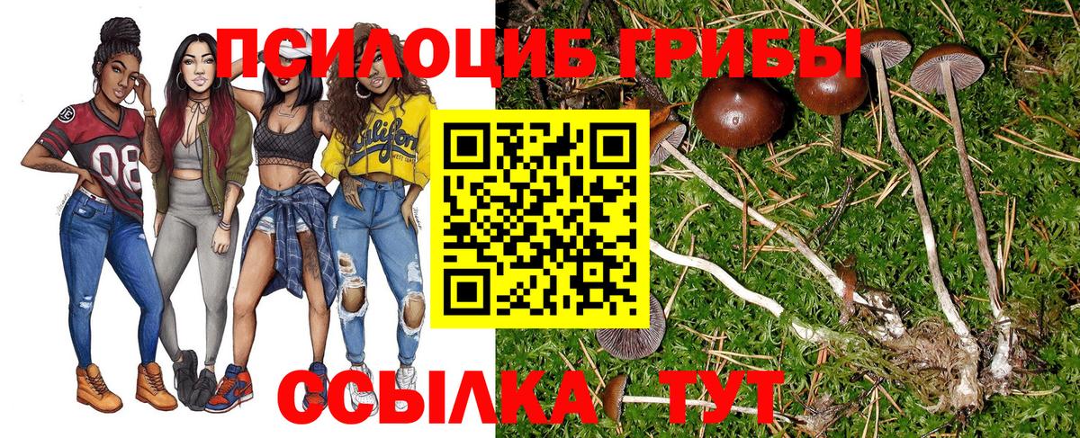 Галлюциногенные грибы ЛСД Малоярославец
