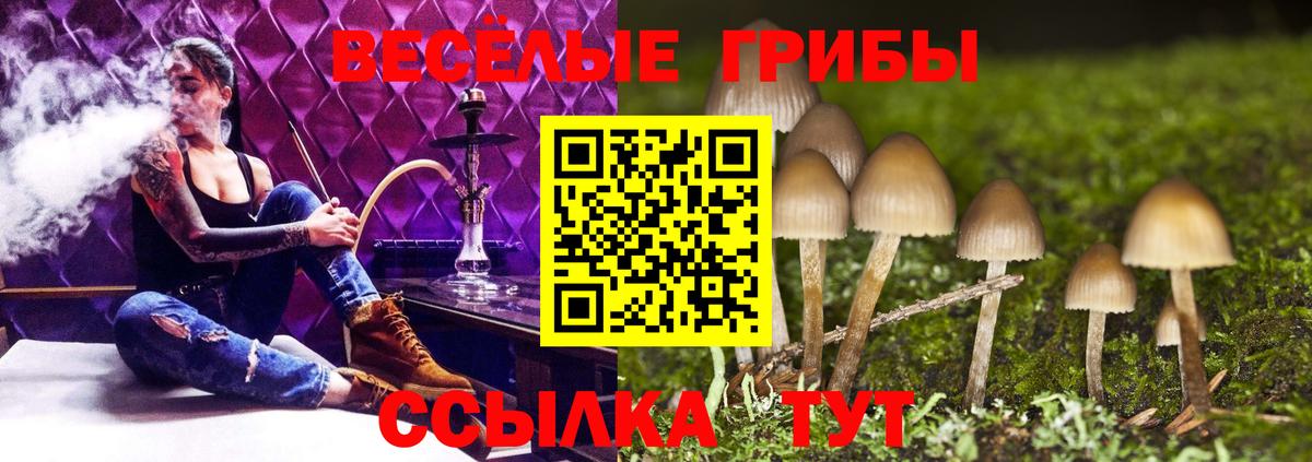 Малоярославец  Псилоцибиновые грибы прущие грибы  Вход с VPN 